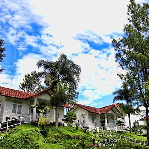 Tulip Villa